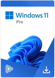 windows 11 pro key