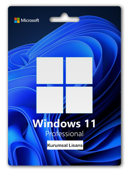 Windows 11 Pro Kurumsal Lisans Key FPP