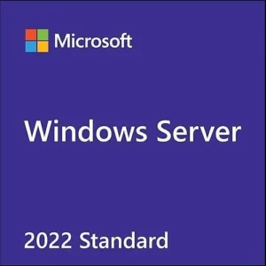 Windows Server Standard 2022 Lisans